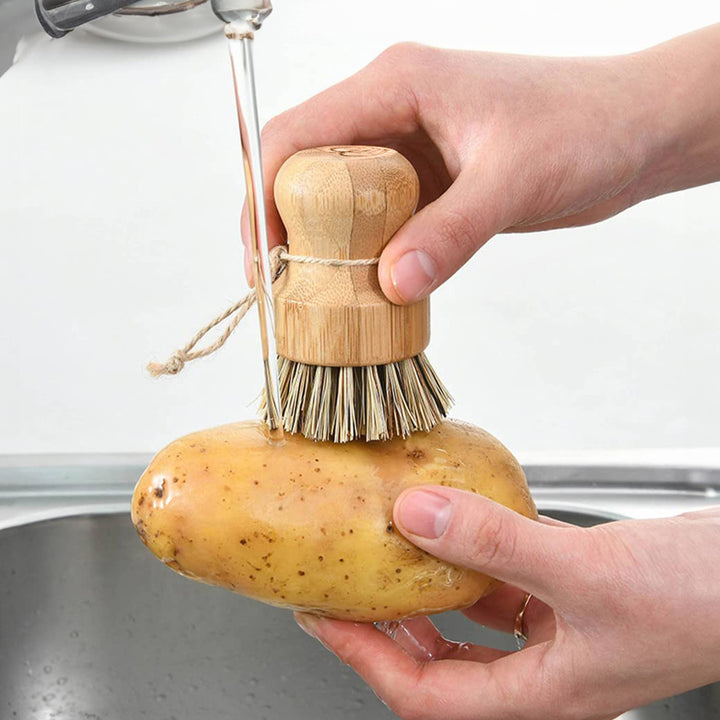 Natural Cleaning Dish Brush Coconut Bamboo Brush