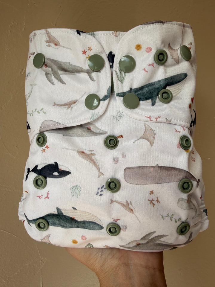 One Size Pocket Diaper- Whaley Cute