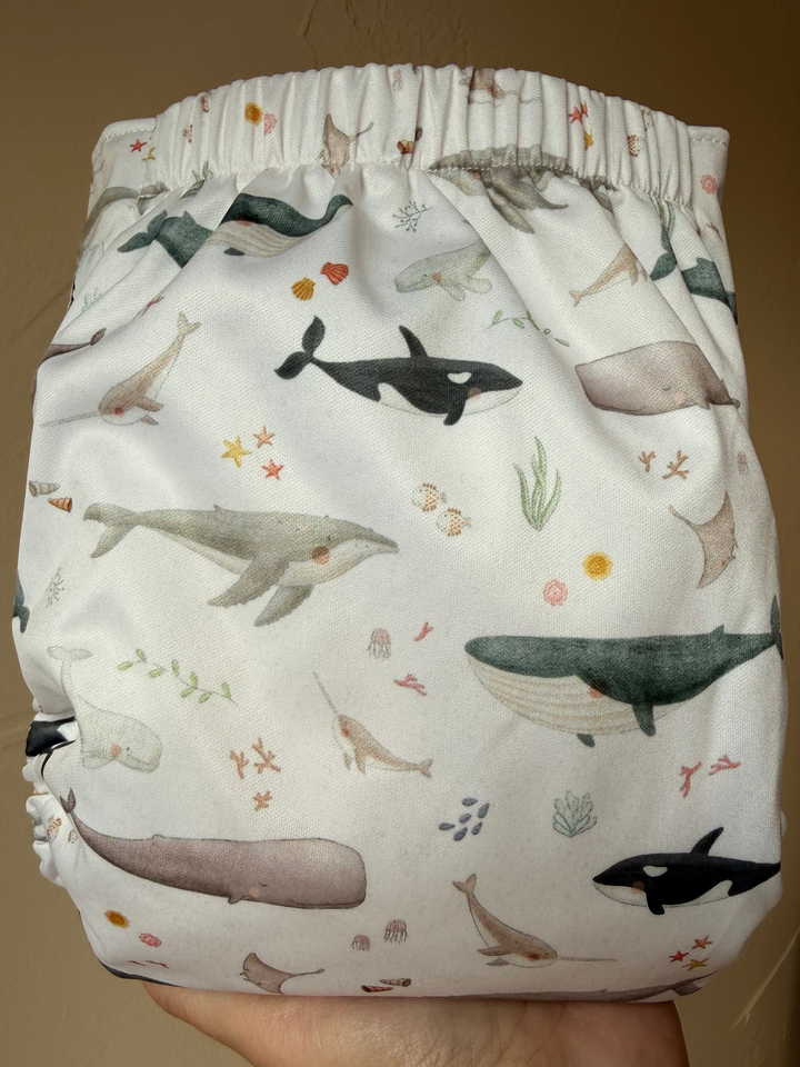 One Size Pocket Diaper- Whaley Cute